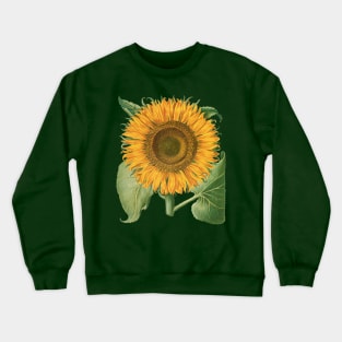 Sunflower by Basilius Besler Crewneck Sweatshirt